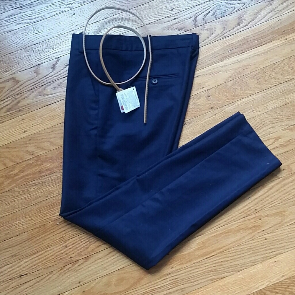 NWOT Zara Skinny Ankle Pants
